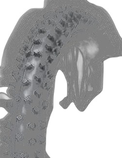 Dunlop GEOMAX MX12