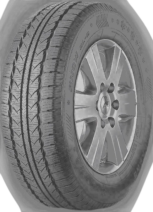 Nankang Winter Activa SL-6 