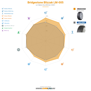 Bridgestone Blizzak LM-005 Bélyegkép 1200x1200
