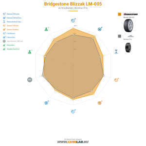 Bridgestone Blizzak LM-005 Bélyegkép 1200x1200