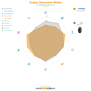 Cooper Discoverer Winter Bélyegkép 1200x1200