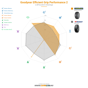 Goodyear Efficient Grip Performance 2 Bélyegkép 1200x1200