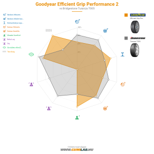 Goodyear Efficient Grip Performance 2 Bélyegkép 1200x1200