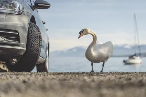 Nokian Seasonproof Bélyegkép 9232x6155